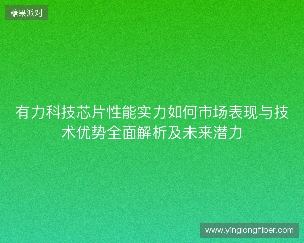有力科技芯片性能实力如何市场表现与技术优势全面解析及未来潜力 有力科技芯片性能实力如何市场表现与技术优势全面解析及未来潜力
